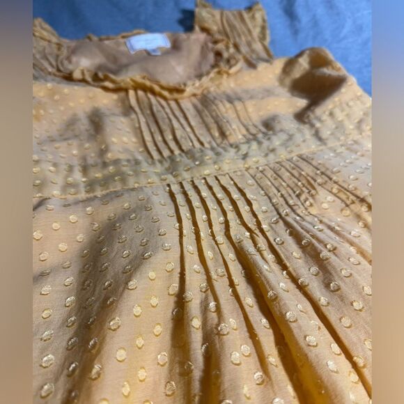 Anthropologie's Moulinette Soeurs Golden Ruffle Dress. Textured Dot Size 10 - Picture 6 of 15